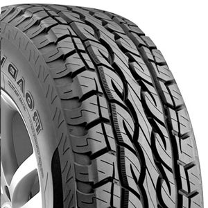 ROAD VENTURE SAT KL61 (LT)