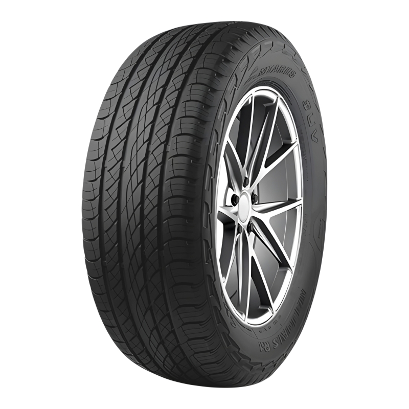 MAJORIS R1